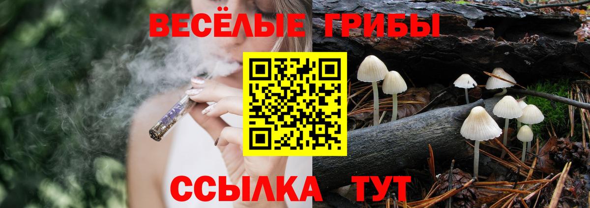 Псилоцибиновые грибы Cubensis  Галлюциногенные грибы Magic Shrooms  Ачинск  сколько стоит  Вход с VPN 